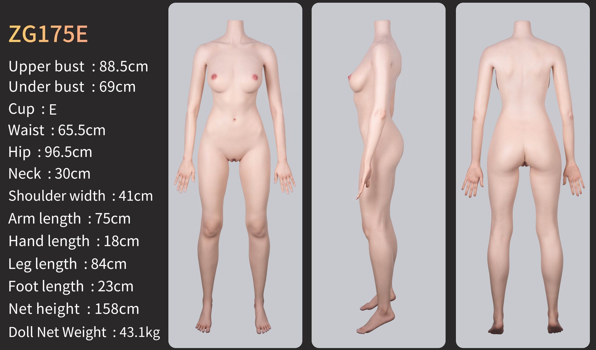 Eva(Movable Jaws Version)ZG175E-175cm E Cup Fair Skin Sex Doll GE03-2 - SEX LOVE DOLLS